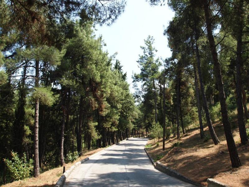 Ferienwohnung Myth1 Hike Around Kalimarmaron, Panathinaic Stadium And Big Alsos Park Athen Exterior foto